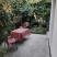 Apartmani Milos, privatni smeštaj u mestu Igalo, Crna Gora - viber_image_2025-07-07_07-13-44-748